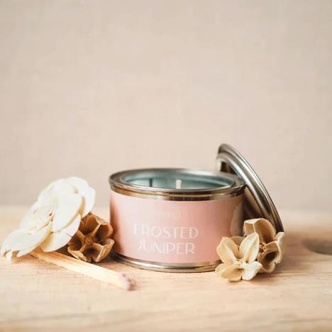 Pintail Candles Frosted Juniper Paint Pot Candle Extra Image 1 Preview